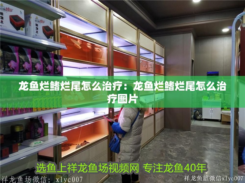 龍魚爛鰭爛尾怎么治療：龍魚爛鰭爛尾怎么治療圖片