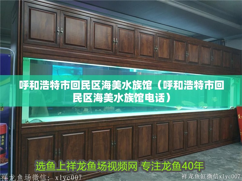呼和浩特市回民區(qū)海美水族館（呼和浩特市回民區(qū)海美水族館電話(huà)）