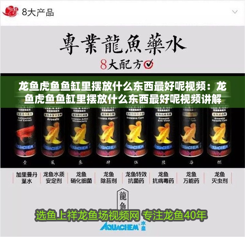 龍魚虎魚魚缸里擺放什么東西最好呢視頻：龍魚虎魚魚缸里擺放什么東西最好呢視頻講解