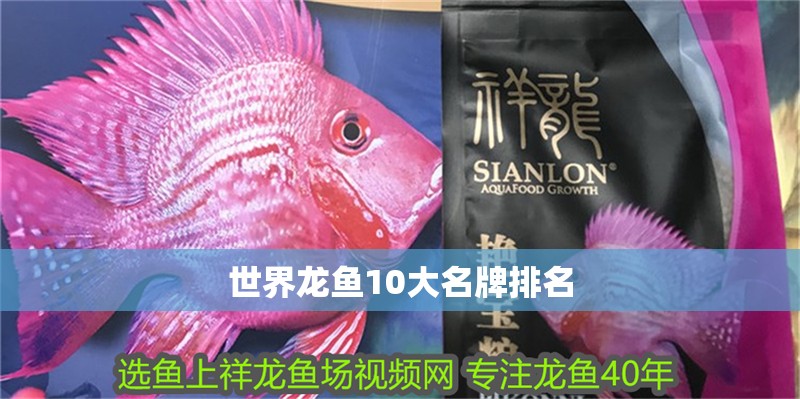 世界龍魚10大名牌排名