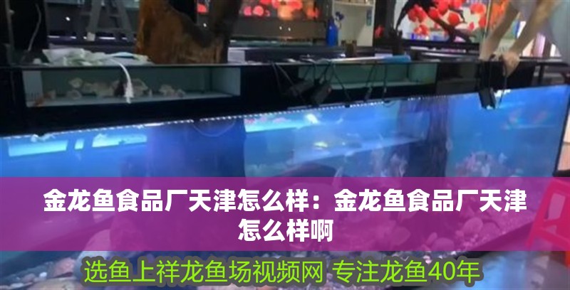 金龍魚食品廠天津怎么樣：金龍魚食品廠天津怎么樣啊