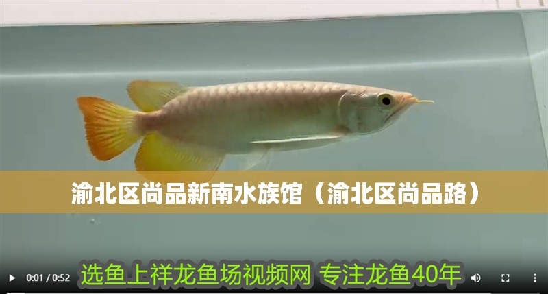 渝北區尚品新南水族館（渝北區尚品路）
