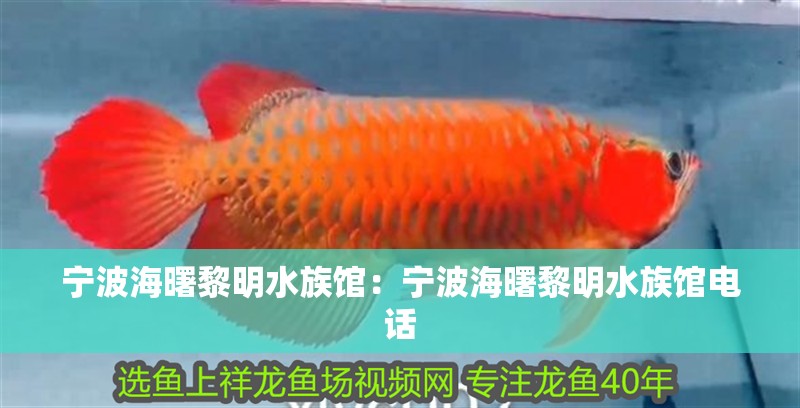 寧波海曙黎明水族館：寧波海曙黎明水族館電話