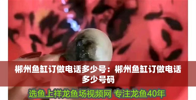 郴州魚(yú)缸訂做電話多少號(hào)：郴州魚(yú)缸訂做電話多少號(hào)碼