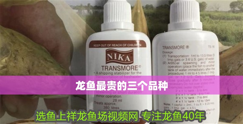 龍魚最貴的三個品種