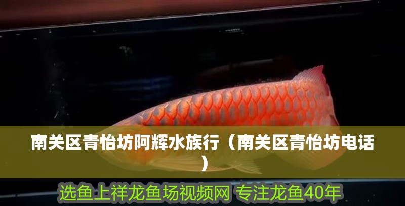 南關區青怡坊阿輝水族行（南關區青怡坊電話）