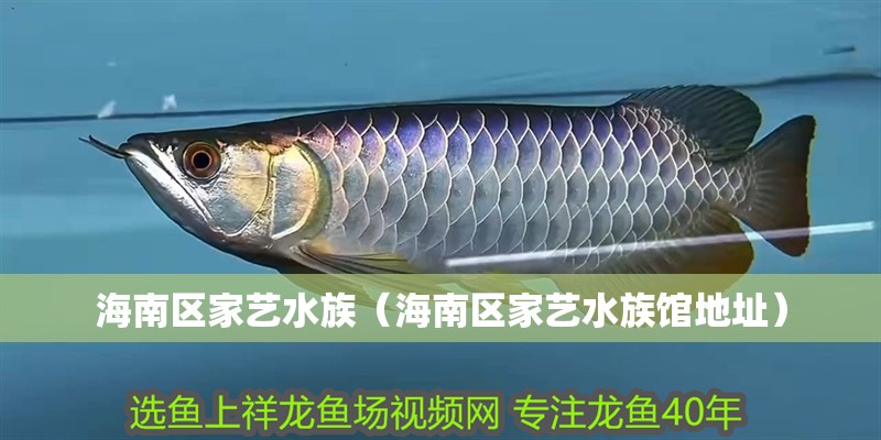 海南區家藝水族（海南區家藝水族館地址）