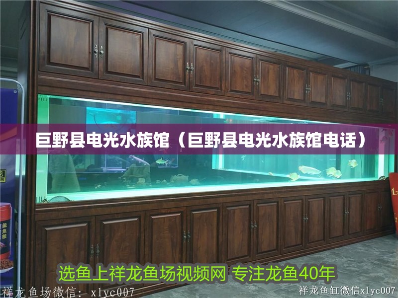 巨野縣電光水族館（巨野縣電光水族館電話）
