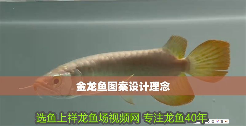 金龍魚圖案設(shè)計(jì)理念