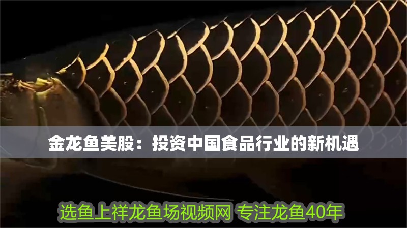 金龍魚美股：投資中國食品行業的新機遇