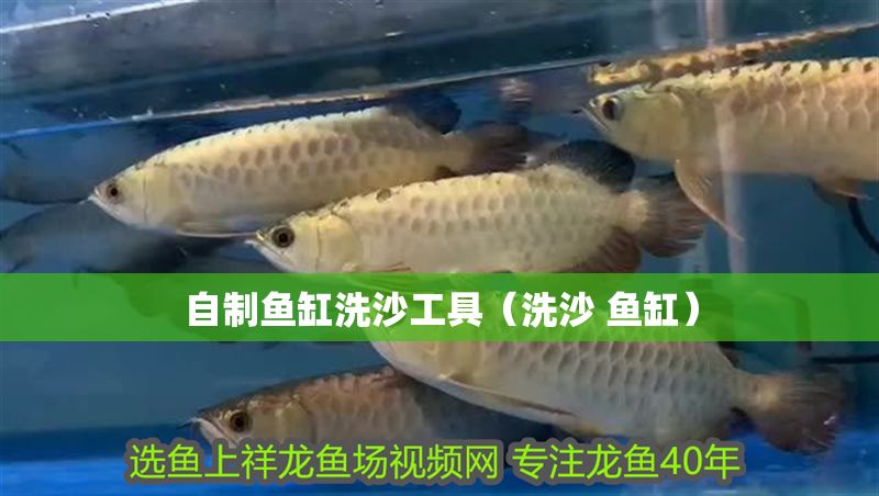 自制魚缸洗沙工具（洗沙 魚缸）