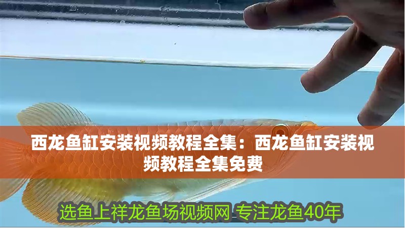 西龍魚缸安裝視頻教程全集：西龍魚缸安裝視頻教程全集免費