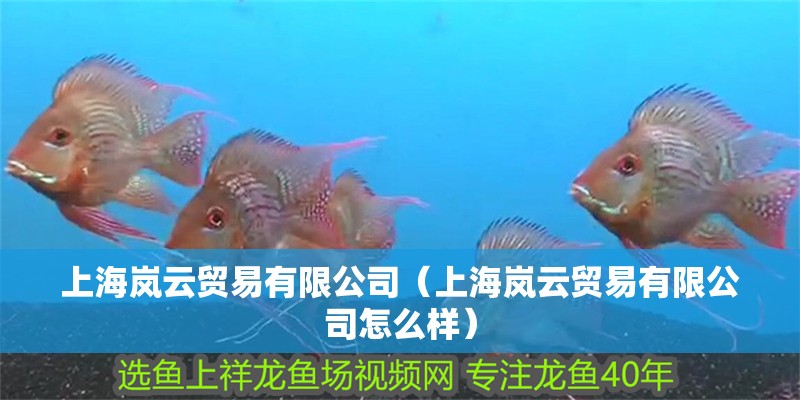 上海嵐云貿易有限公司（上海嵐云貿易有限公司怎么樣）