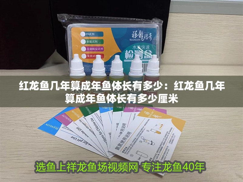 紅龍魚幾年算成年魚體長有多少：紅龍魚幾年算成年魚體長有多少厘米