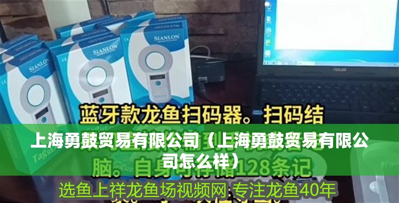 上海勇鼓貿易有限公司（上海勇鼓貿易有限公司怎么樣）