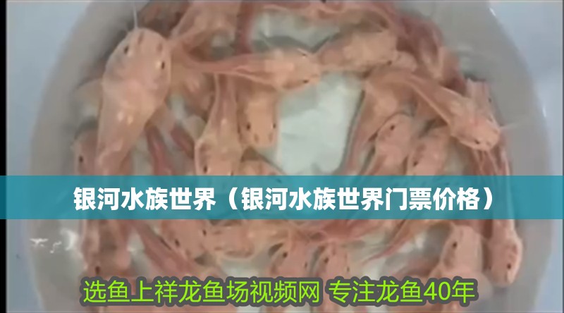 銀河水族世界（銀河水族世界門票價格）