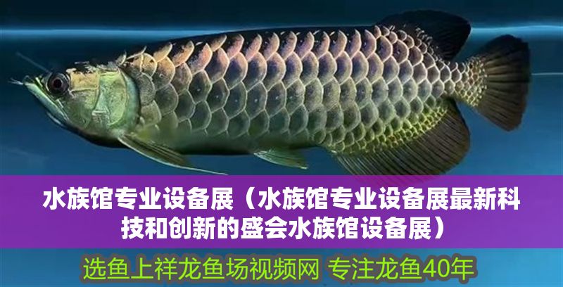 水族館專業(yè)設(shè)備展（水族館專業(yè)設(shè)備展最新科技和創(chuàng)新的盛會(huì)水族館設(shè)備展）