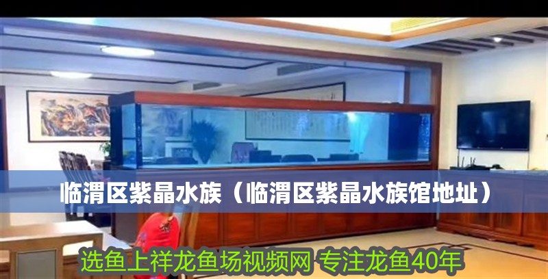 臨渭區紫晶水族（臨渭區紫晶水族館地址）
