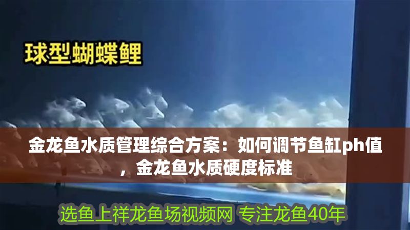金龍魚水質管理綜合方案：如何調節(jié)魚缸ph值，金龍魚水質硬度標準