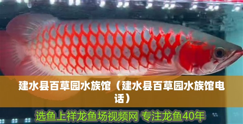 建水縣百草園水族館（建水縣百草園水族館電話）