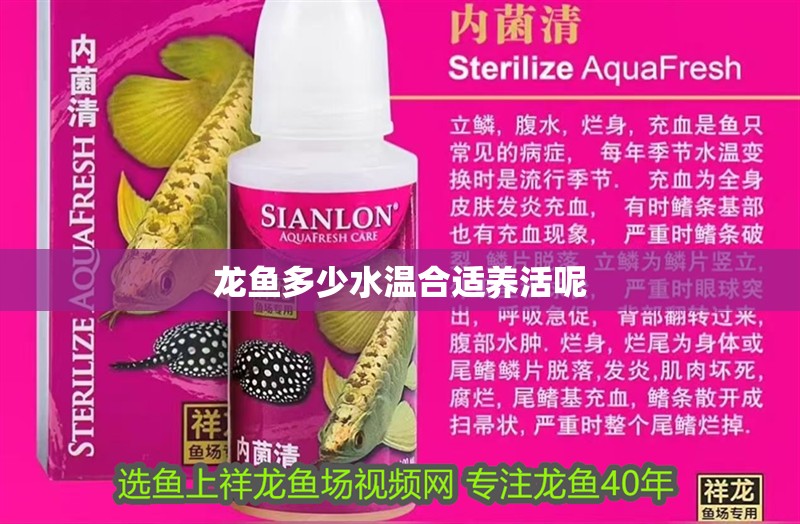 龍魚多少水溫合適養活呢
