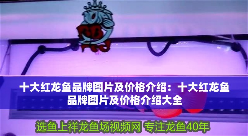十大紅龍魚(yú)品牌圖片及價(jià)格介紹：十大紅龍魚(yú)品牌圖片及價(jià)格介紹大全
