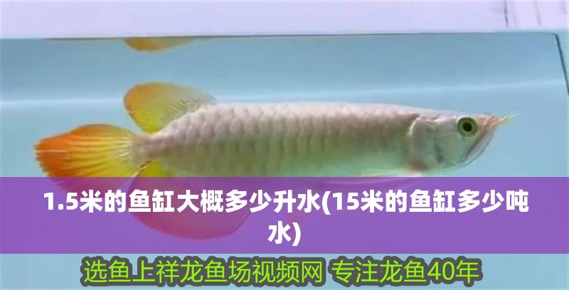 1.5米的魚缸大概多少升水(15米的魚缸多少噸水)