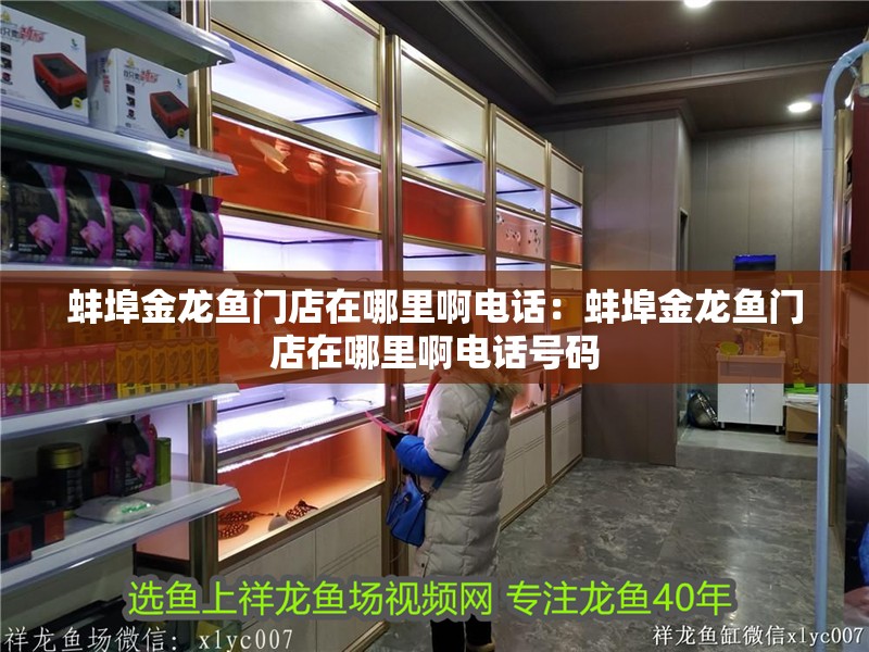 <strong><mark>蚌埠</mark></strong>金龍魚門店在哪里啊電話：<strong><mark>蚌埠</mark></strong>金龍魚門店在哪里啊電話號碼