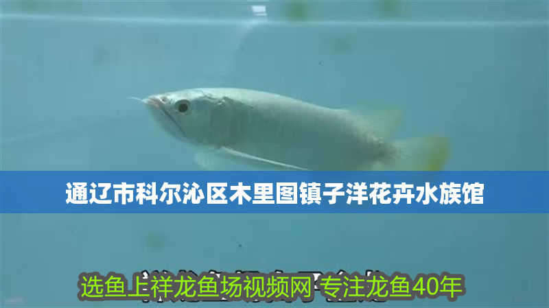 通遼市科爾沁區(qū)木里圖鎮(zhèn)子洋花卉水族館