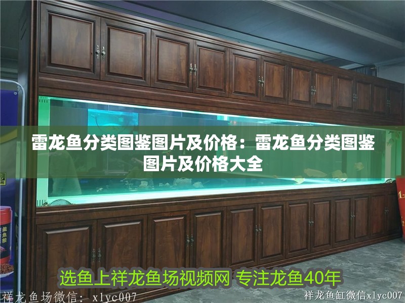 雷龍魚分類圖鑒圖片及價格：雷龍魚分類圖鑒圖片及價格大全