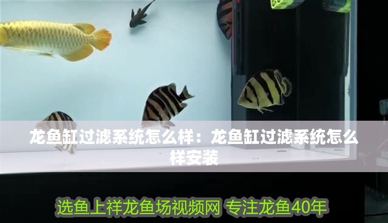 龍魚(yú)缸過(guò)濾系統(tǒng)怎么樣：龍魚(yú)缸過(guò)濾系統(tǒng)怎么樣安裝
