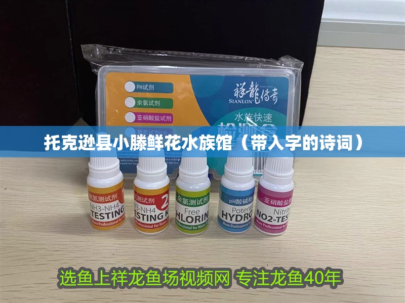 托克遜縣小滕鮮花水族館（帶入字的詩詞）