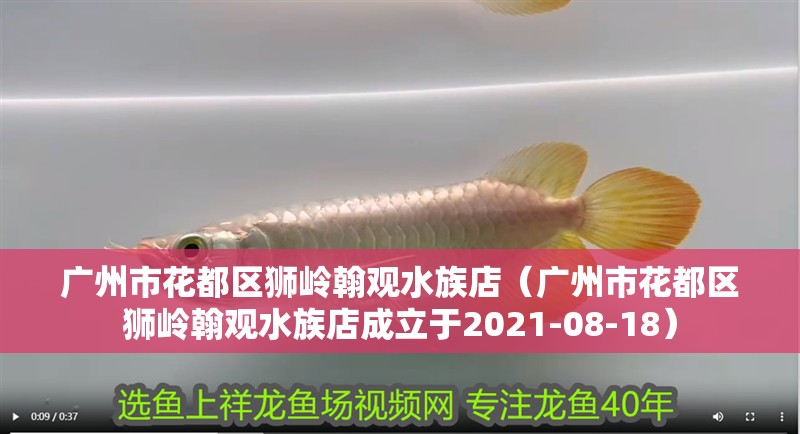 廣州市花都區(qū)獅嶺翰觀水族店（廣州市花都區(qū)獅嶺翰觀水族店成立于2021-08-18）