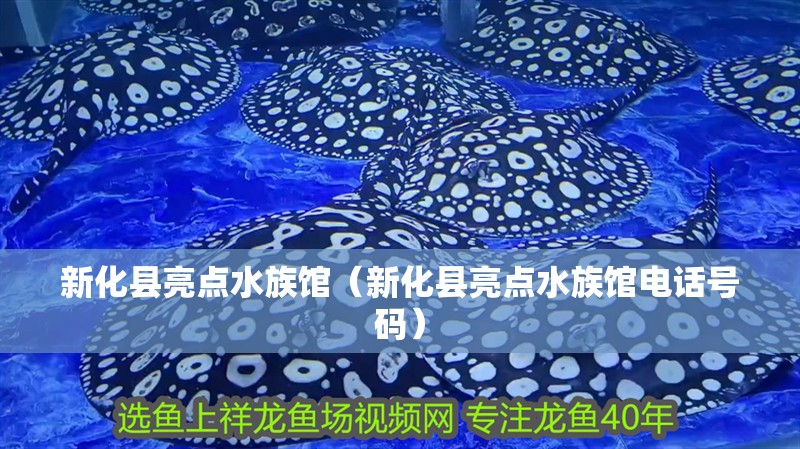 新化縣亮點(diǎn)水族館（新化縣亮點(diǎn)水族館電話(huà)號(hào)碼）