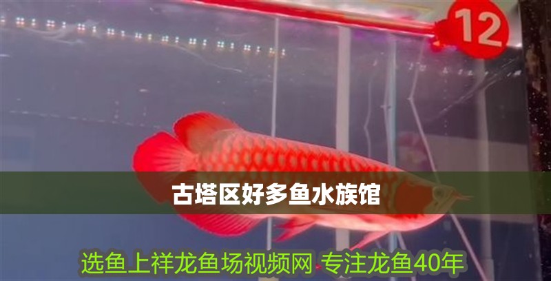 古塔區(qū)好多魚水族館
