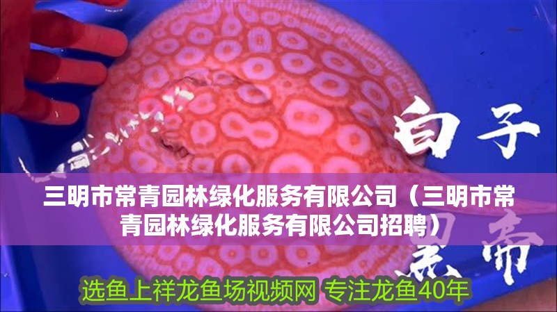 三明市常青園林綠化服務有限公司（三明市常青園林綠化服務有限公司招聘）