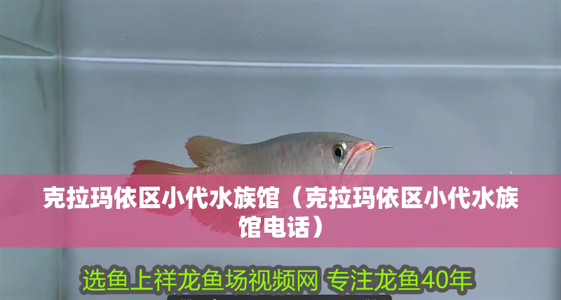 克拉瑪依區小代水族館（克拉瑪依區小代水族館電話）