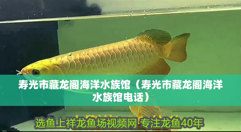 壽光市藏龍閣海洋水族館（壽光市藏龍閣海洋水族館電話）