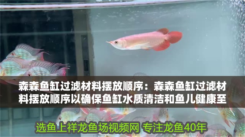 森森魚缸過濾材料擺放順序：森森魚缸過濾材料擺放順序以確保魚缸水質(zhì)清潔和魚兒健康至關(guān)重要