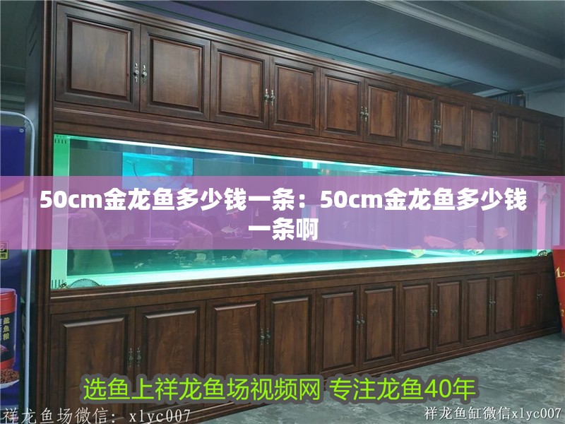 50cm金龍魚多少錢一條：50cm金龍魚多少錢一條啊