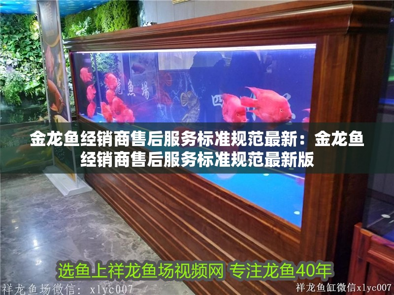 金龍魚經銷商售后服務標準規范最新：金龍魚經銷商售后服務標準規范最新版 金龍魚經銷商售后服務標準規范最新：金龍魚經銷商售后服務標準規范最新版 水族問答