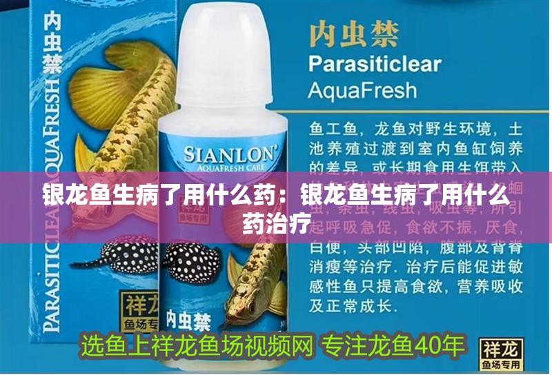 銀龍魚生病了用什么藥：銀龍魚生病了用什么藥治療