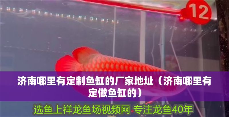 濟南哪里有定制魚缸的廠家地址（濟南哪里有定做魚缸的）