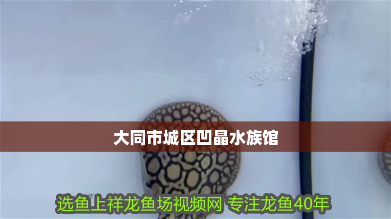 大同市城區凹晶水族館 大同市城區凹晶水族館 全國水族館企業名錄 第2張