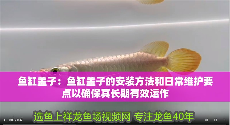 魚缸蓋子：魚缸蓋子的安裝方法和日常維護要點以確保其長期有效運作