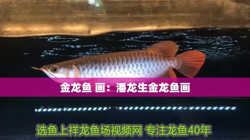 金龍魚 畫：潘龍生金龍魚畫 金龍魚 畫：潘龍生金龍魚畫 水族問答