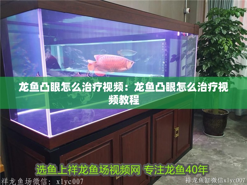 龍魚凸眼怎么治療視頻：龍魚凸眼怎么治療視頻教程