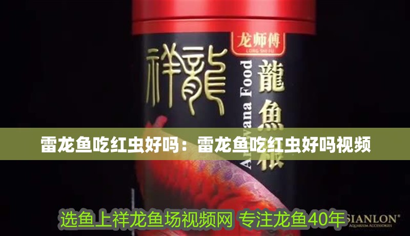 雷龍魚吃紅蟲好嗎：雷龍魚吃紅蟲好嗎視頻
