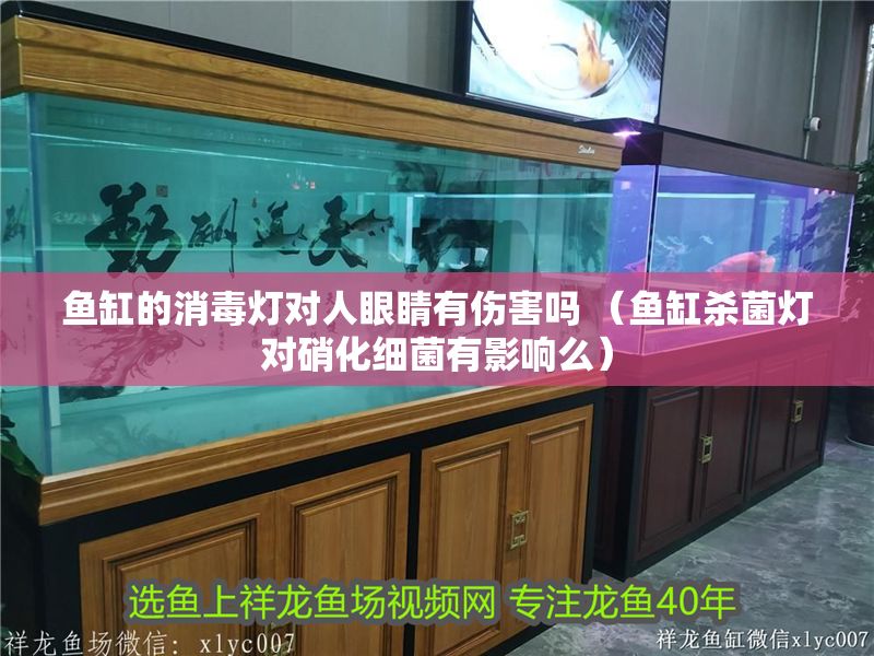 魚(yú)缸的消毒燈對(duì)人眼睛有傷害嗎 （魚(yú)缸殺菌燈對(duì)硝化細(xì)菌有影響么）