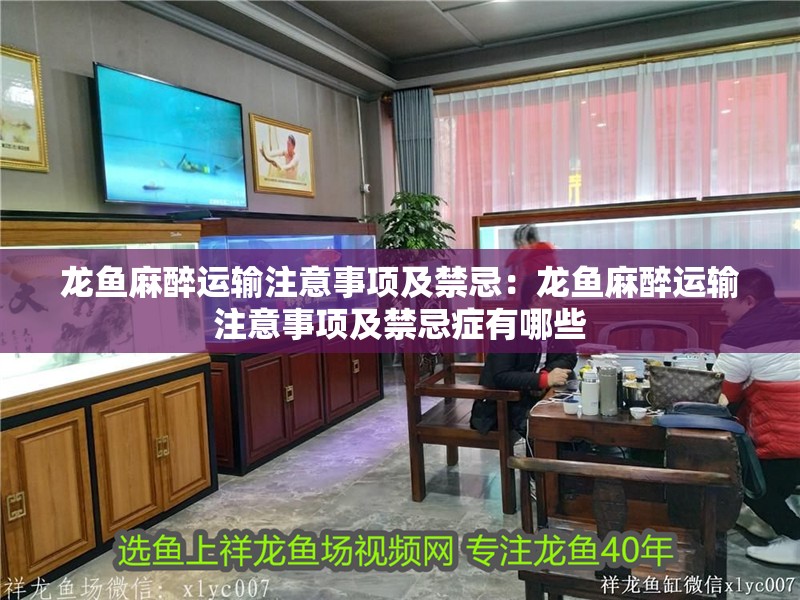 龍魚麻醉運輸注意事項及禁忌：龍魚麻醉運輸注意事項及禁忌癥有哪些